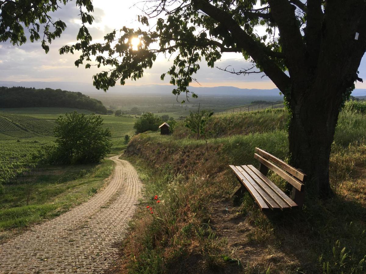Ferienhaus Irene Vogtsburg Bagian luar foto