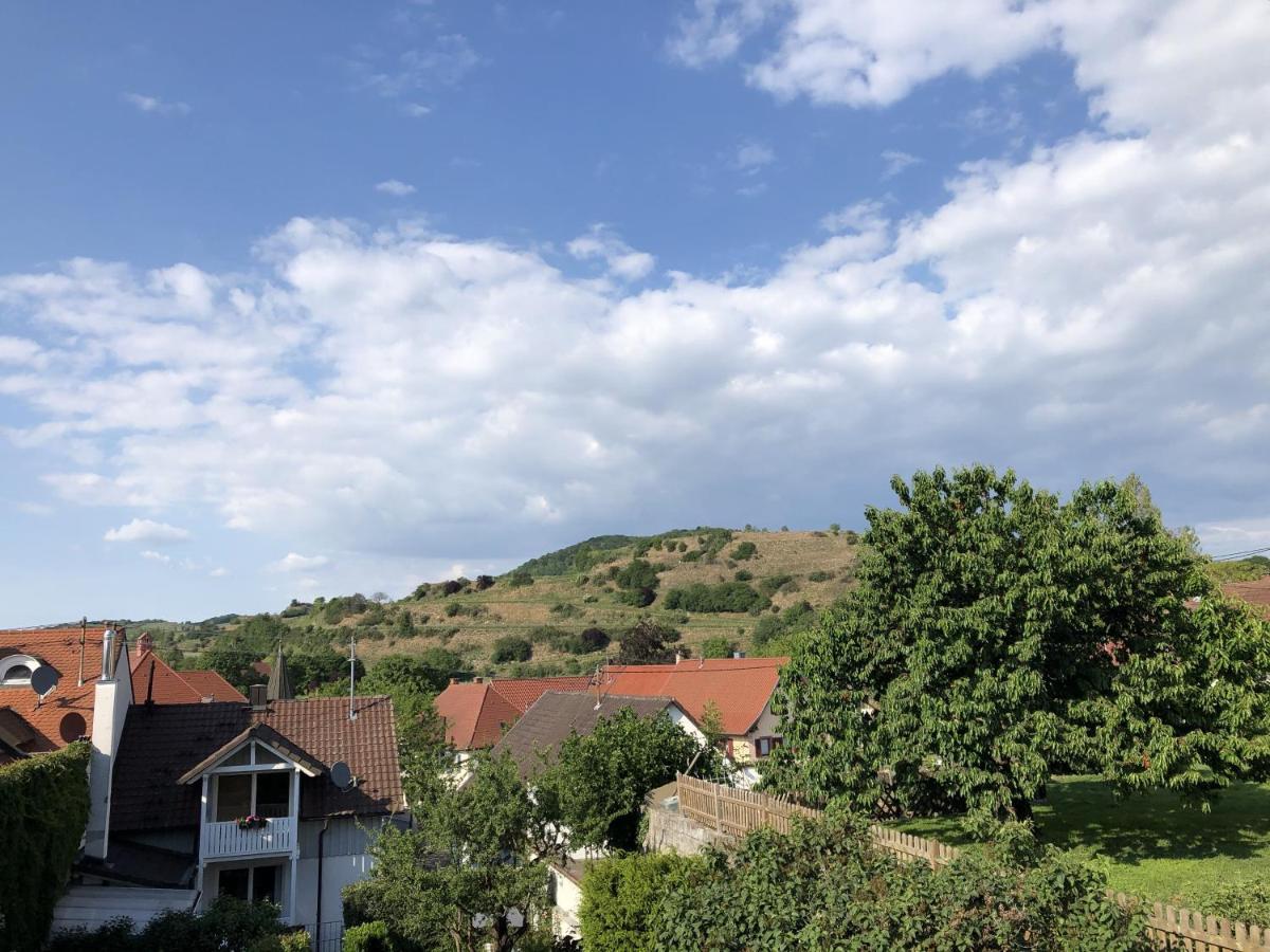 Ferienhaus Irene Vogtsburg Bagian luar foto